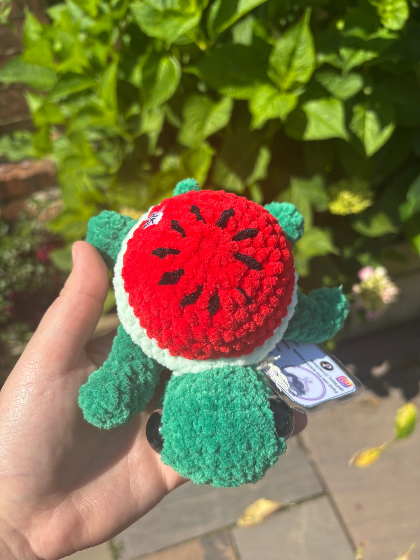 Watermelon turtle