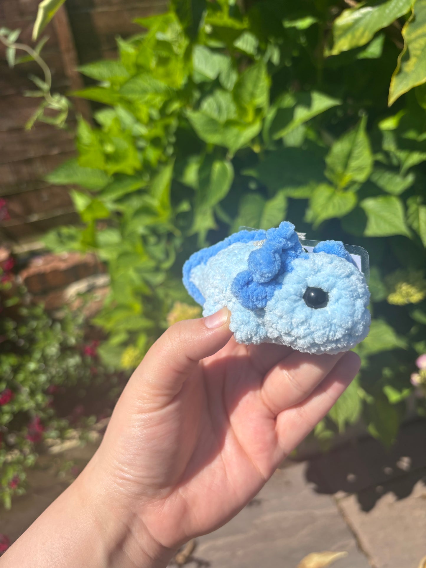 Blue Axolotl