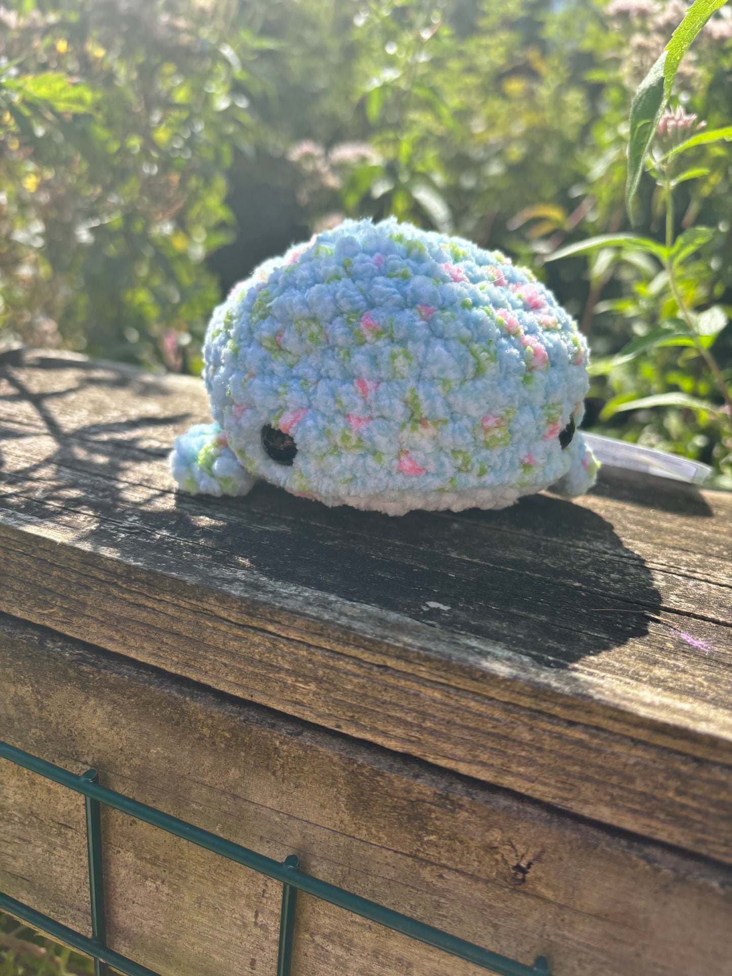 Sherbet rose crochet whale