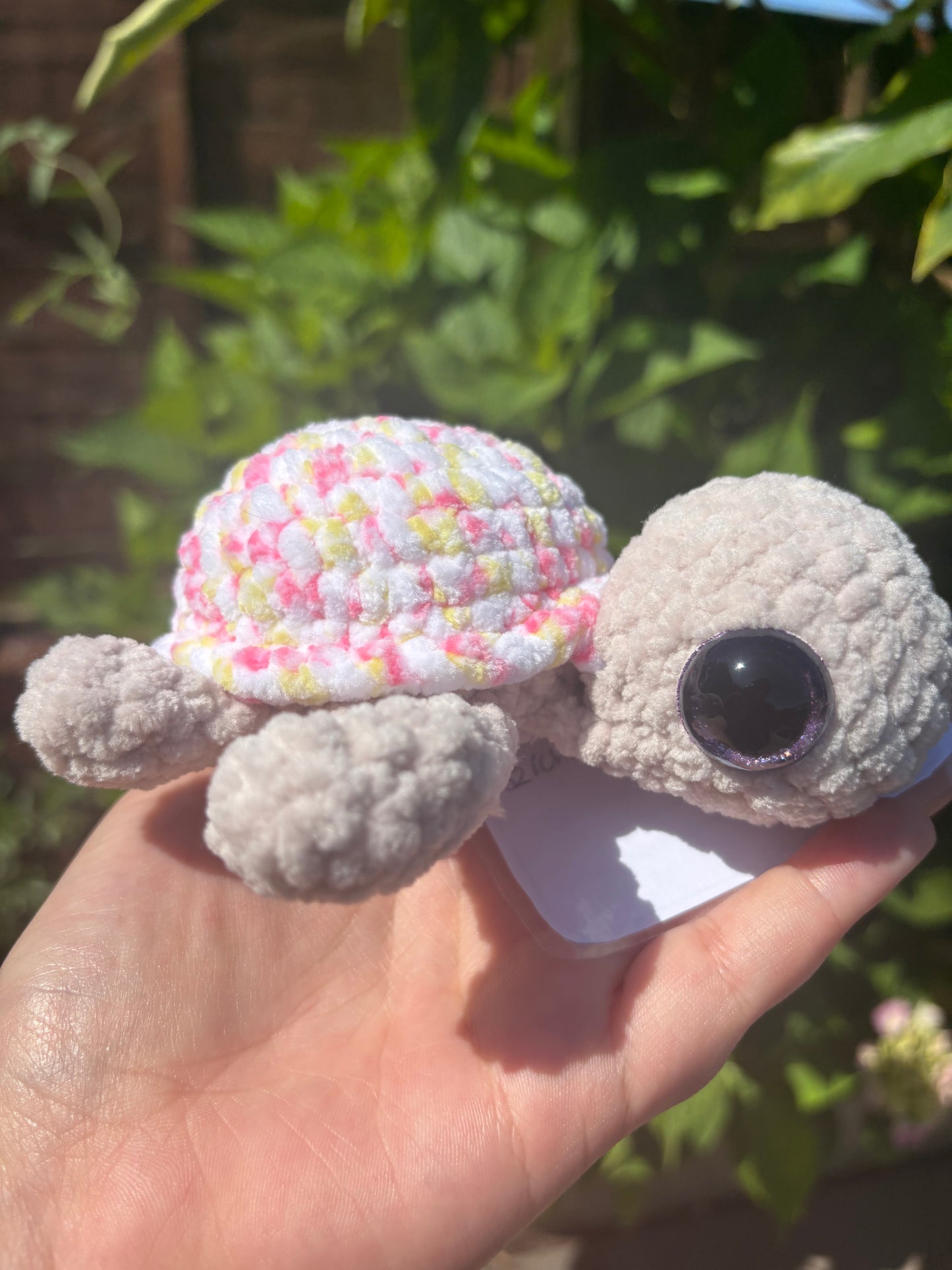 Battenburg and Champagne crochet turtle