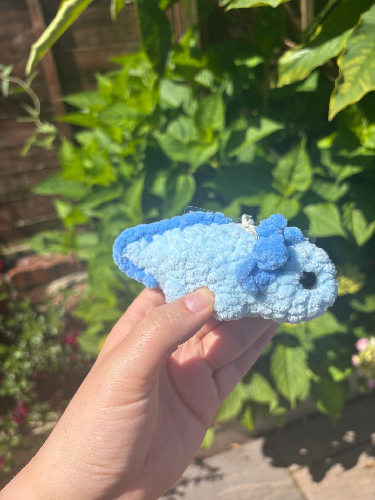 Blue Axolotl