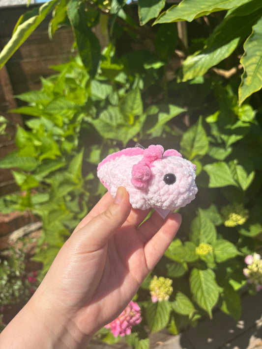 Pink Axolotl