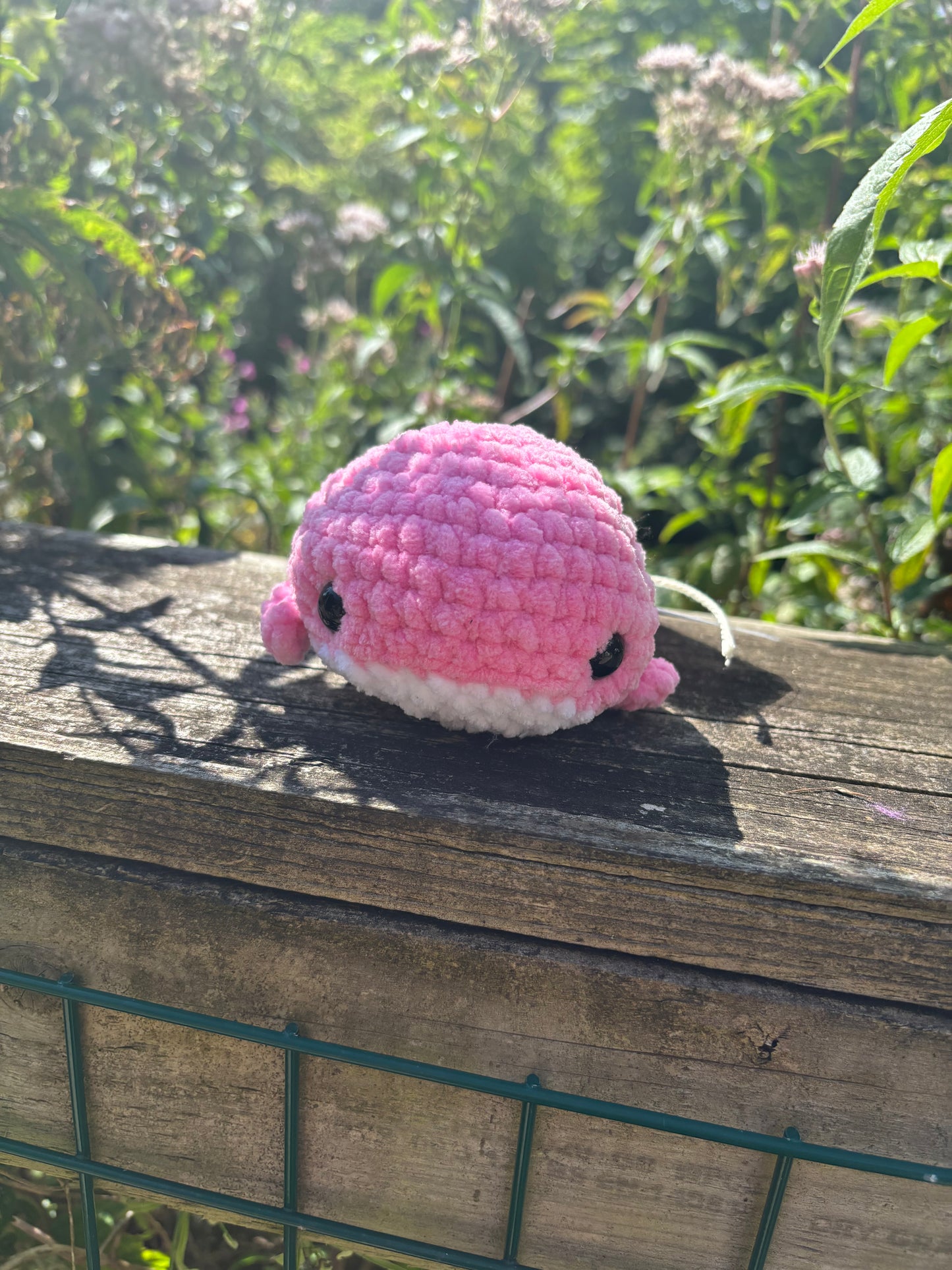 Sugar Pink crochet whale