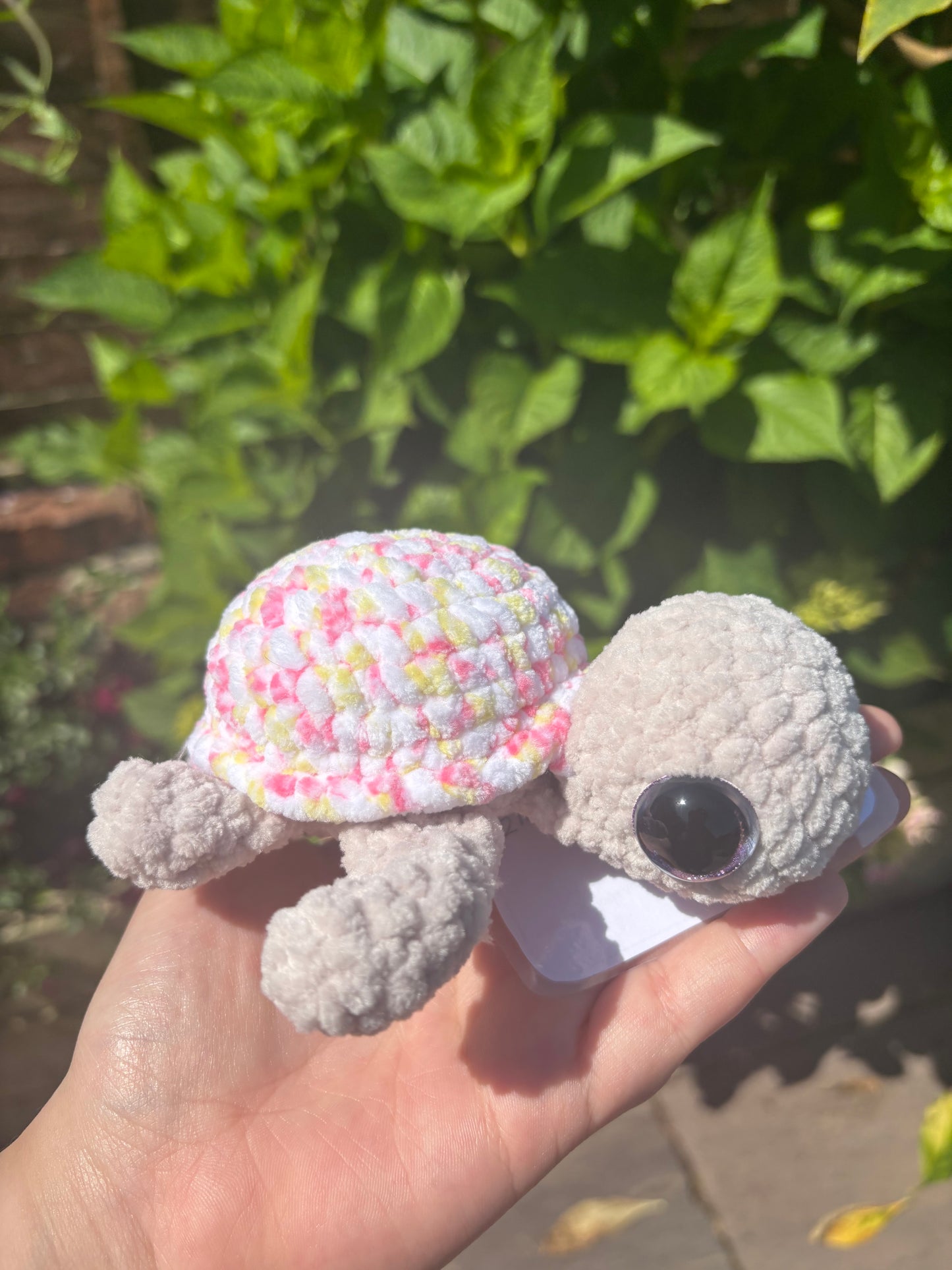Battenburg and Champagne crochet turtle