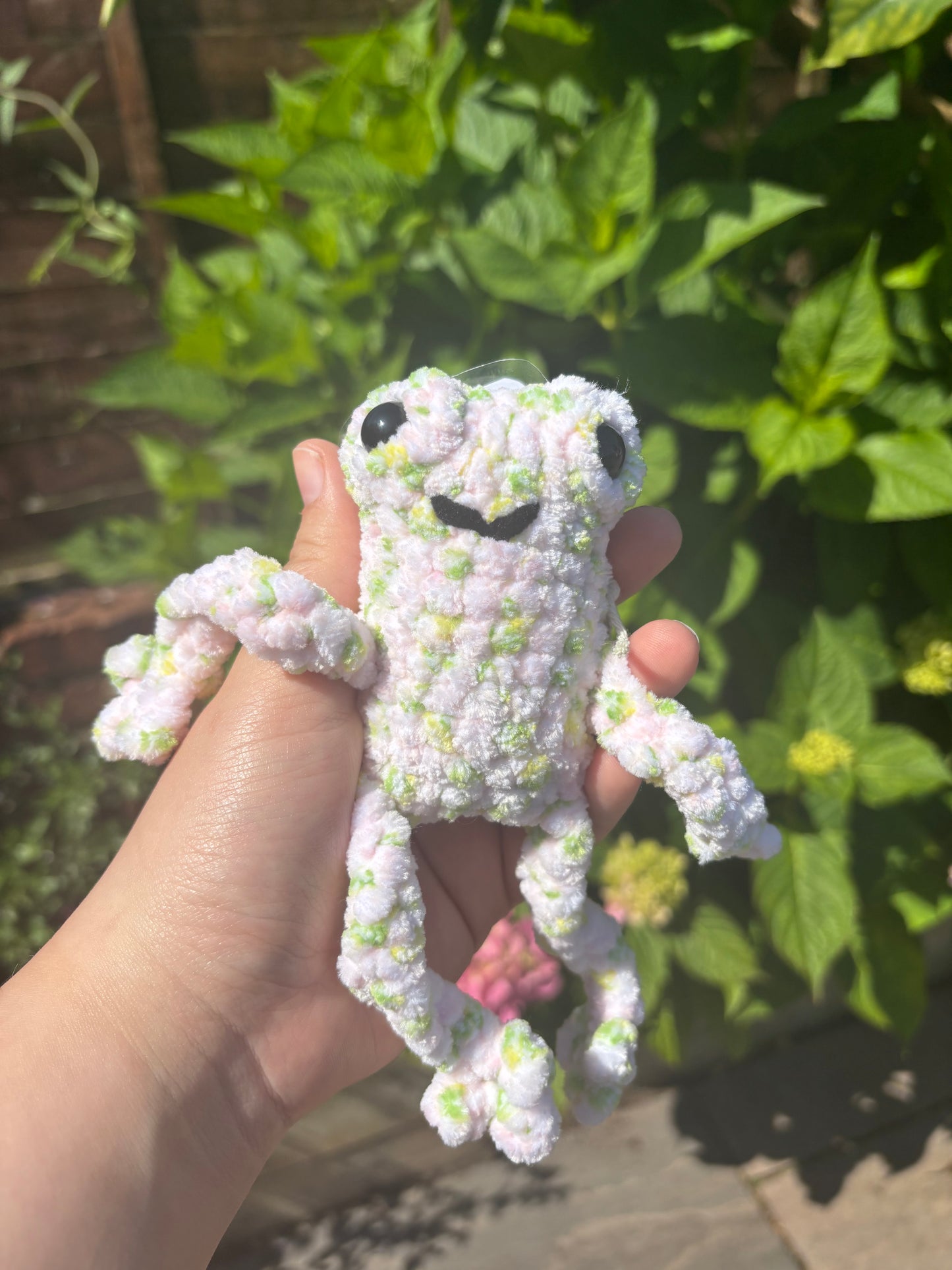 Candy rose leggyfrog