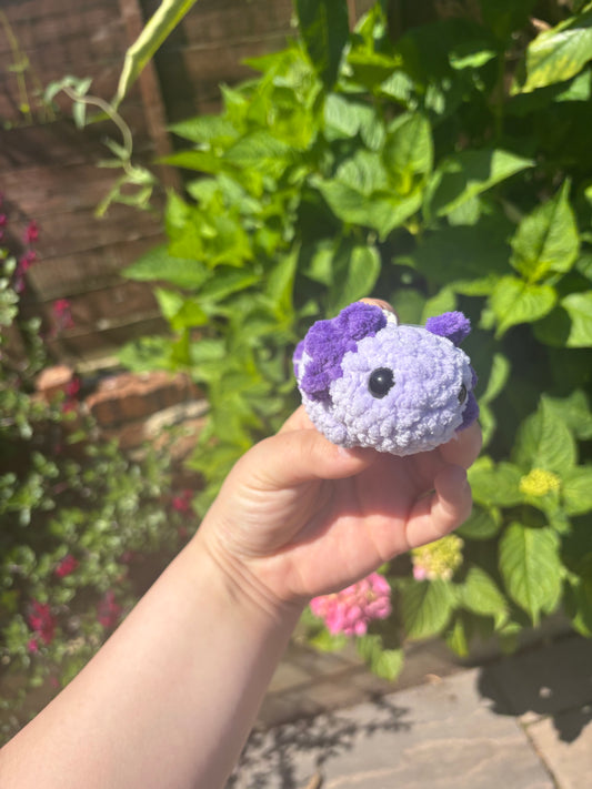 Purple Axolotl